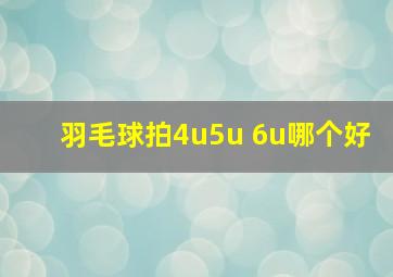 羽毛球拍4u5u 6u哪个好